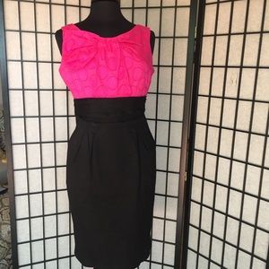 Signature by Robbie Bee Dress Pink and Black